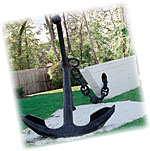 About the Anchor