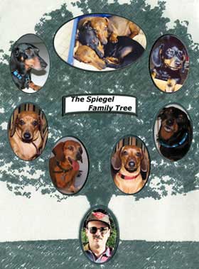 Family Tree